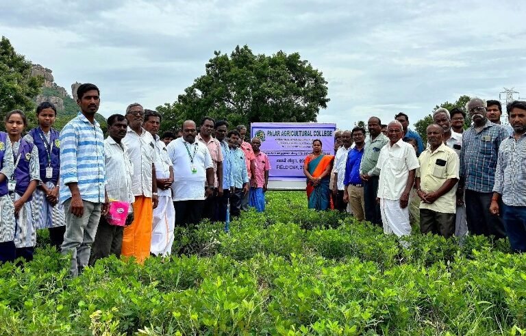 Field Day on “Quality Seed Production techniques in Groundnut”