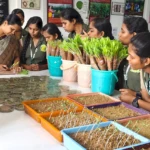 Hands on Workshop Testing Seed Quality Through Germination