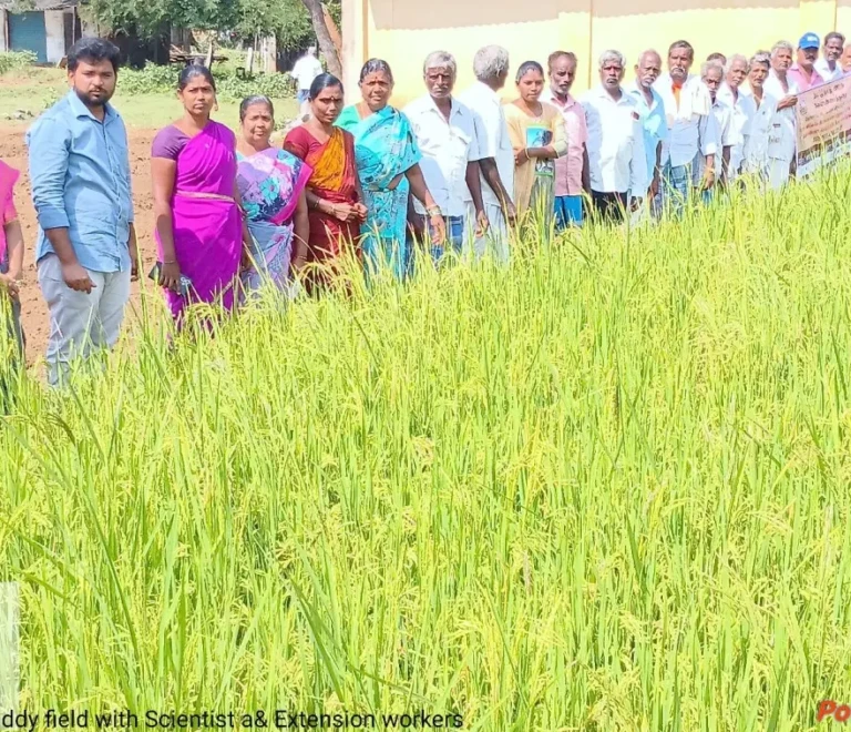 Farmers training on Seed Certification and Quality Seed production procedure to the Seed Farm growers