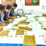 Seed quality assessment