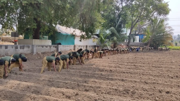 Rabi Crop Production (1)