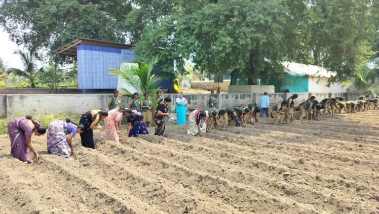 Rabi Crop Production (2)