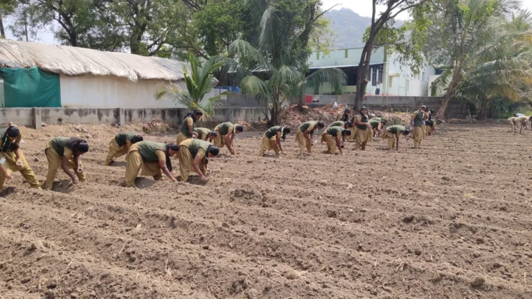 Rabi Crop Production (3)