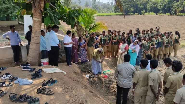 Rabi Crop Production (4)