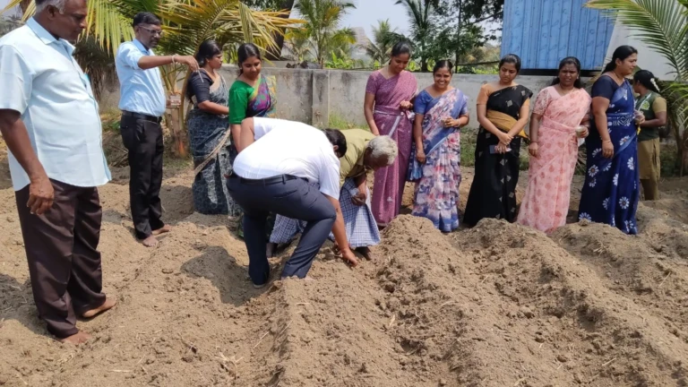 Rabi Crop Production (6)