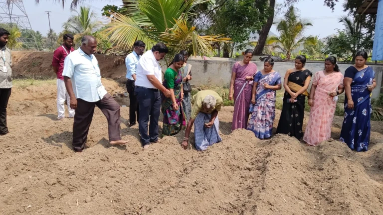 Rabi Crop Production (7)