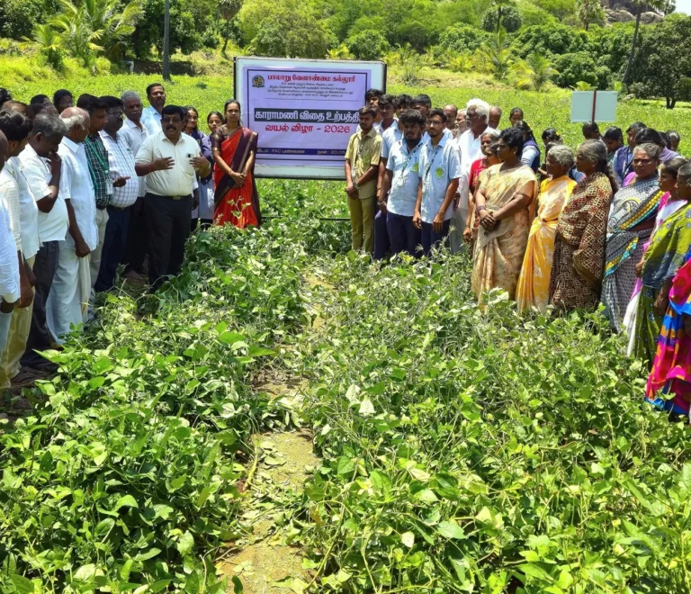 Field Day on Cowpea Seed Production (VBN 4)