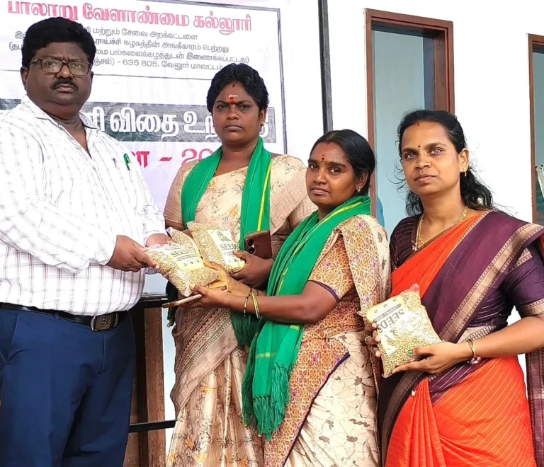 Sale of Cowpea TFL seeds